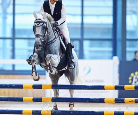 d1478d2f-68b6-40a9-91ec-247c79141e16.jpg